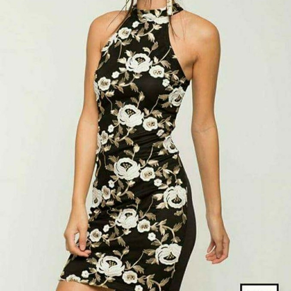 Agaci Slim fit Embroidered Dress